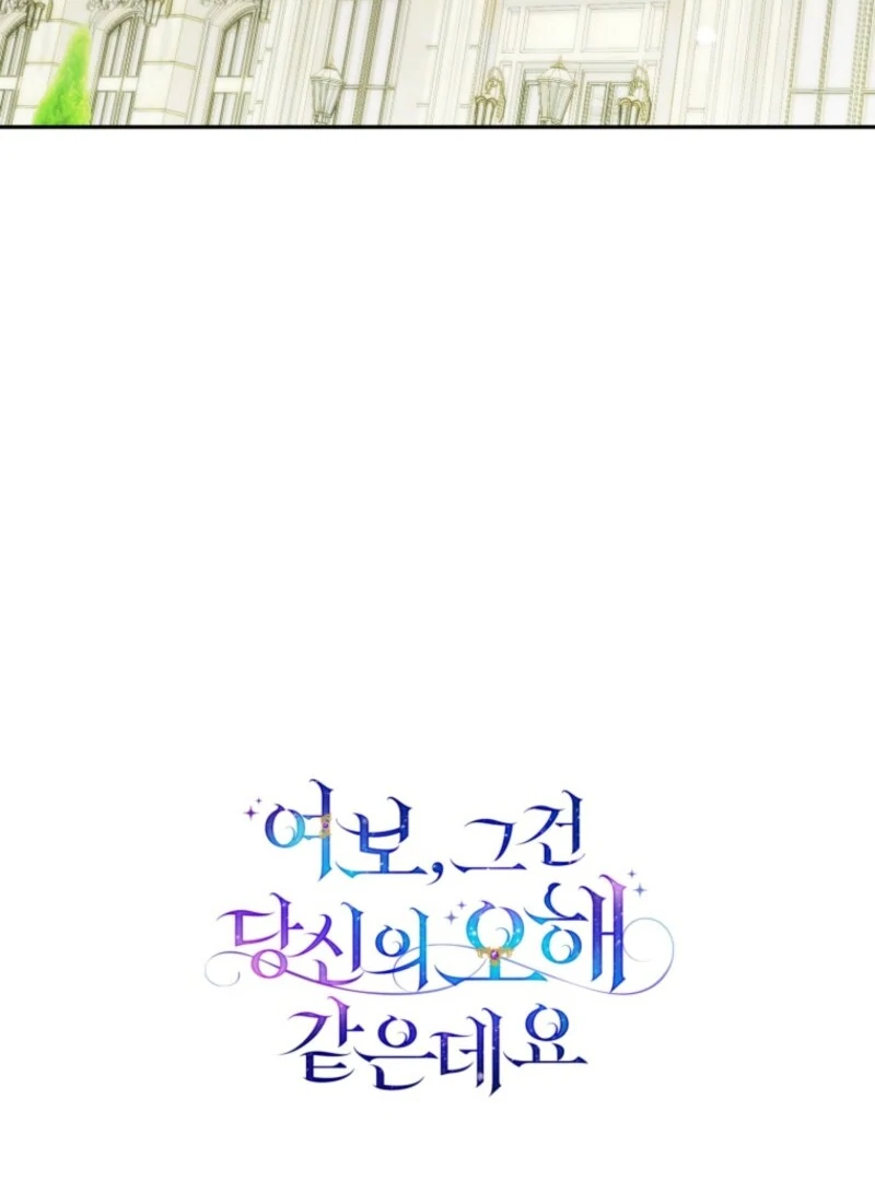 Honey, I Think That’s a Misunderstanding Chapter 29 537 ch 29 131