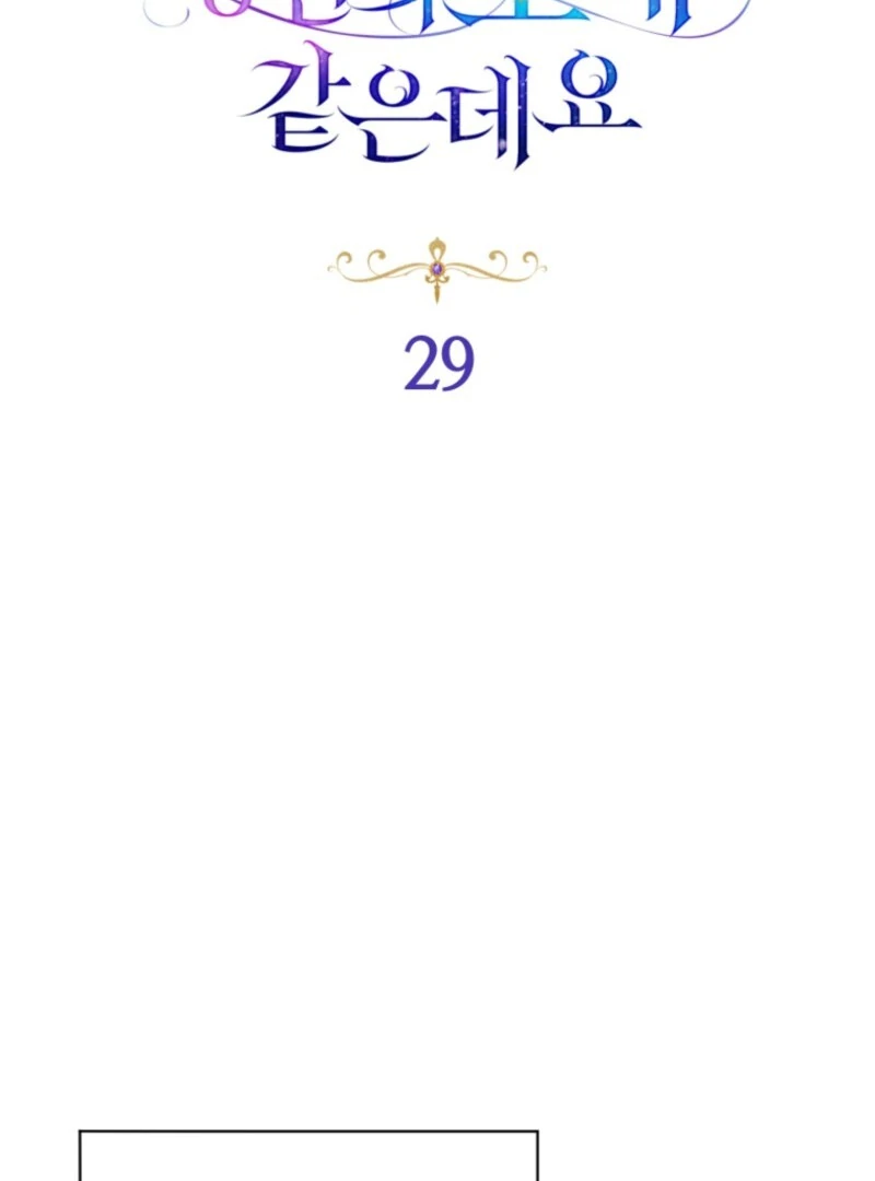 Honey, I Think That’s a Misunderstanding Chapter 29 437 ch 29 31