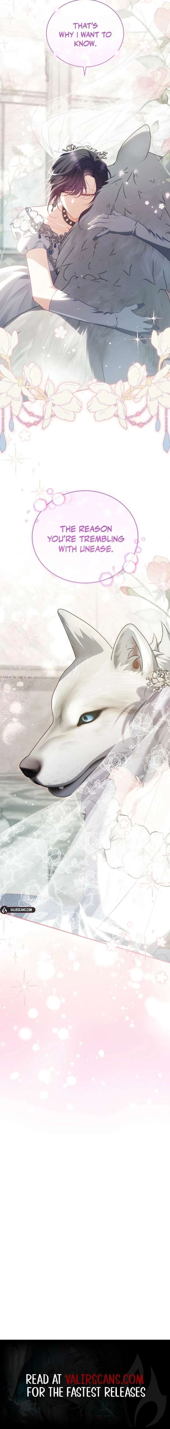 ch 47 19