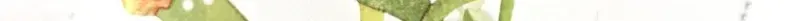 c6751450d6fe