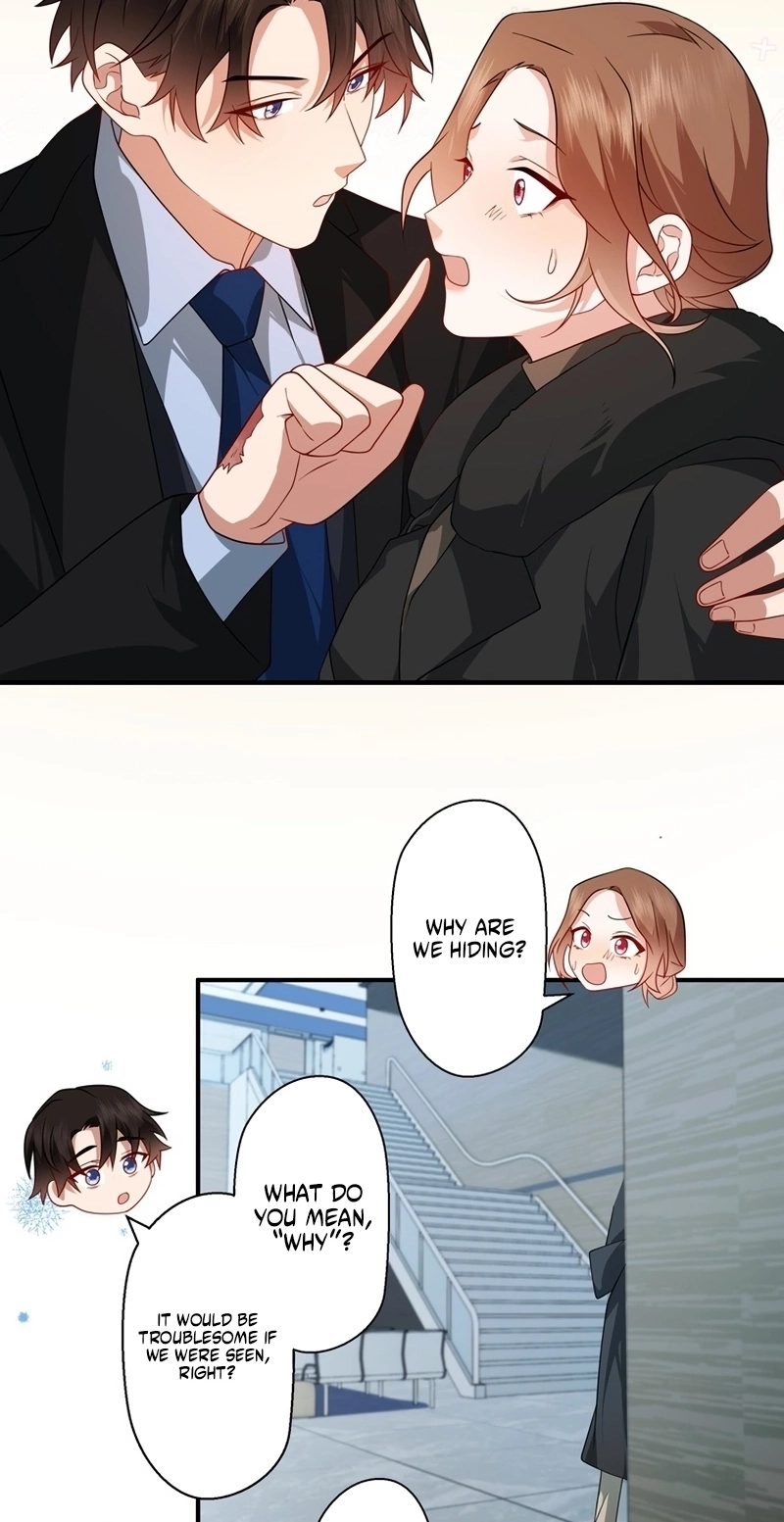 I Became a Divorce Lawyer for My First Love Chapter 47 316 957b13c8fb0c