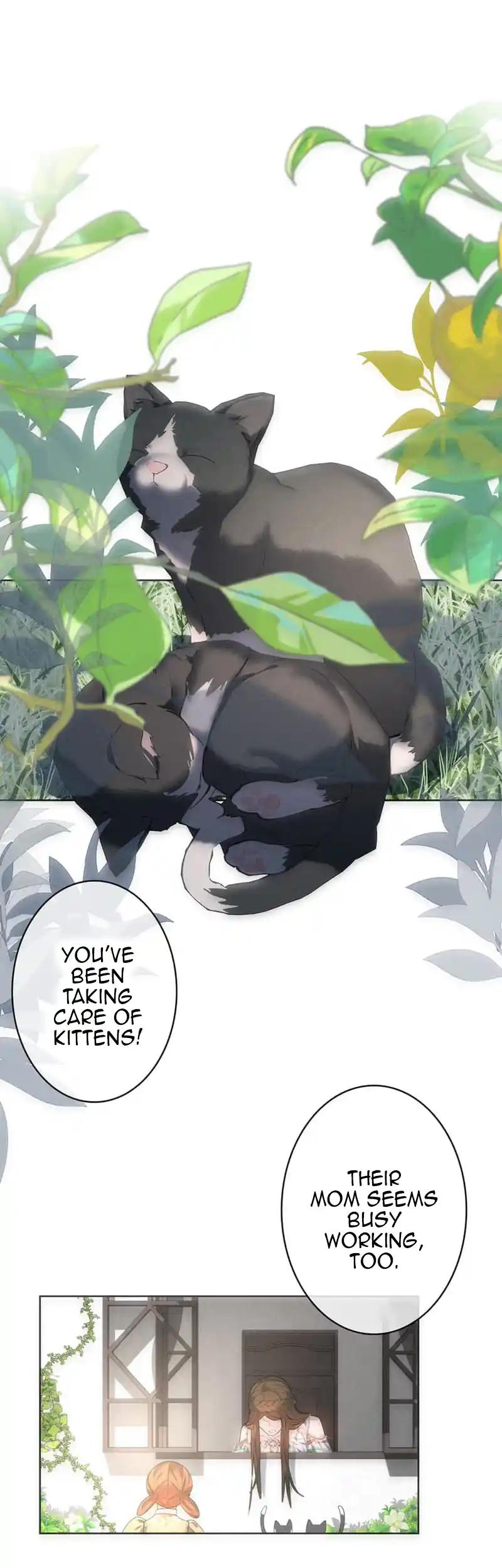ch 3 31