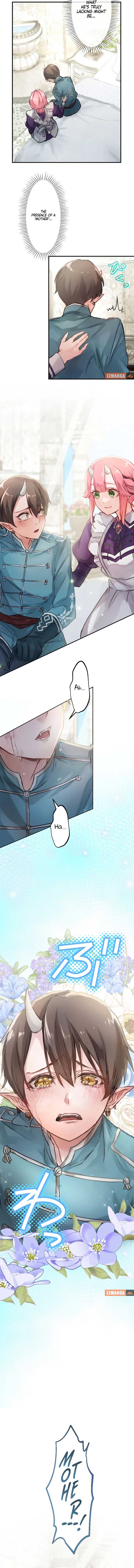 ch 6 11