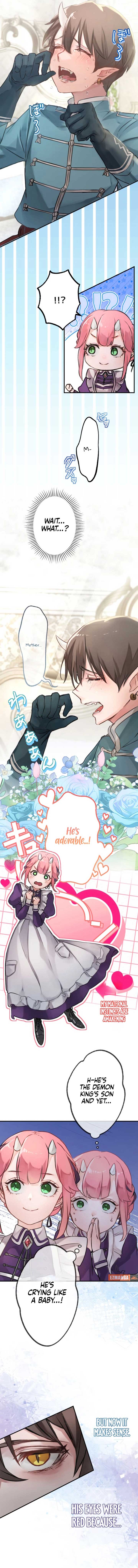 ch 6 12