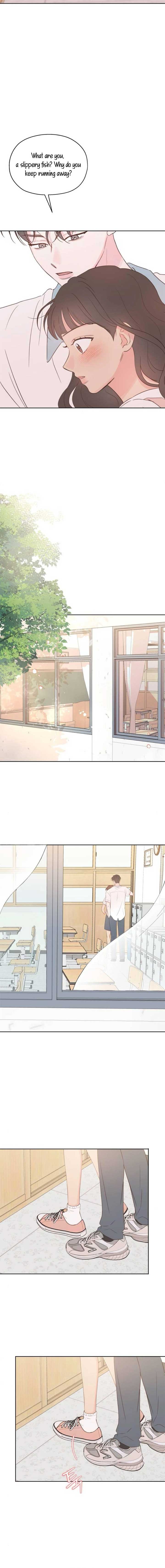 ch 20 11
