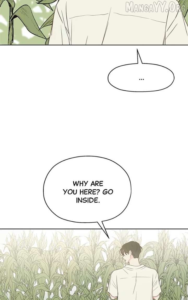 068