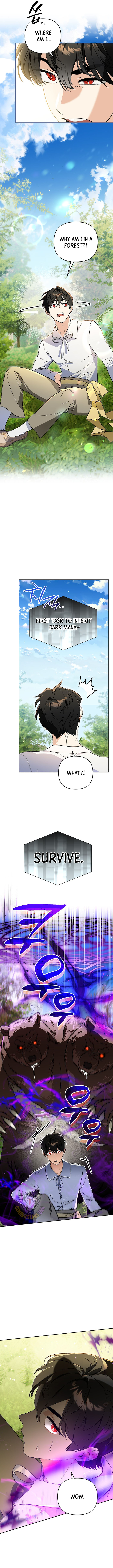 ch 29 8