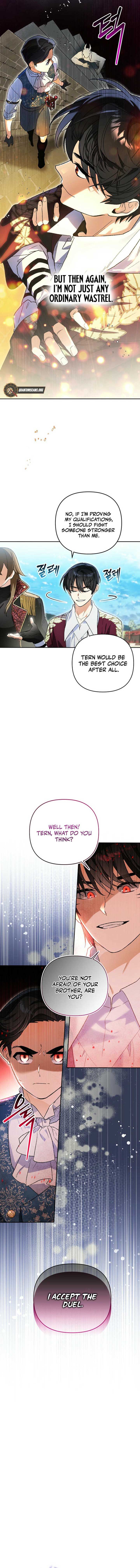 ch 4 6