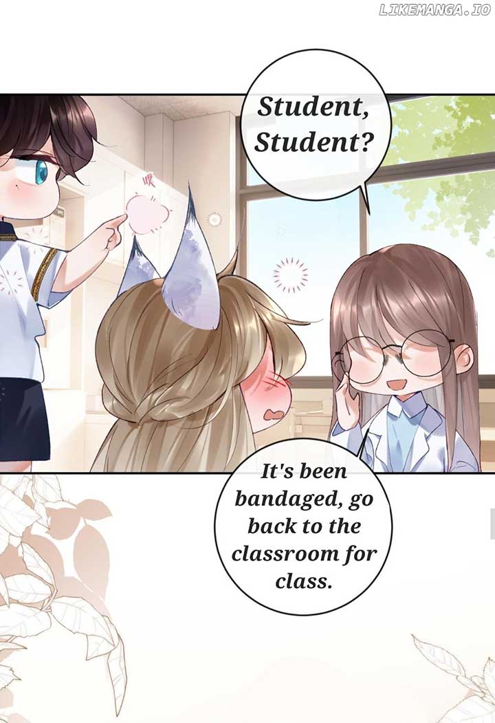 ch 15 17