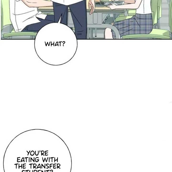 ch 19 156
