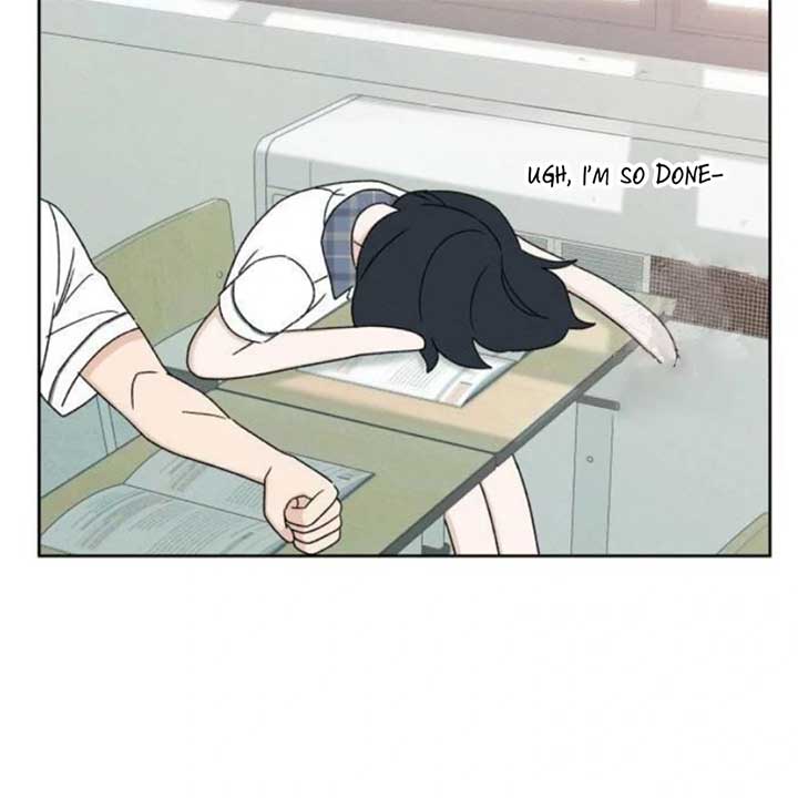 ch 19 29