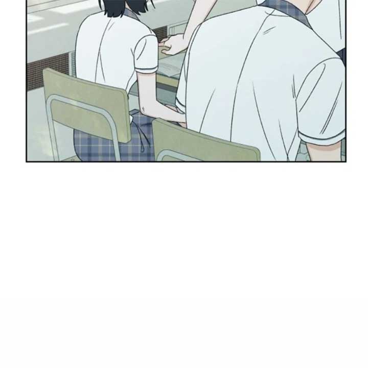 ch 19 37