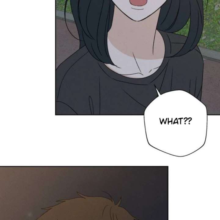 80