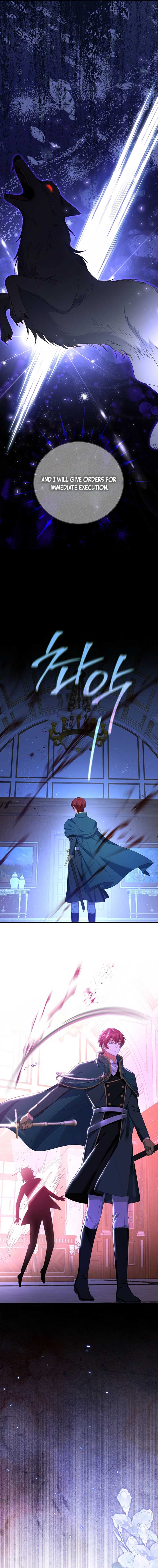 ch 29 17