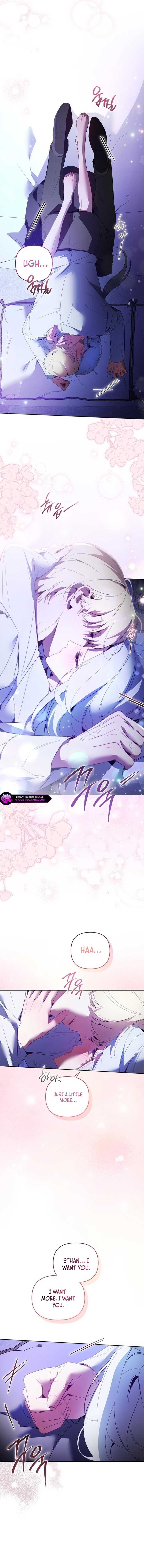 ch 19 11
