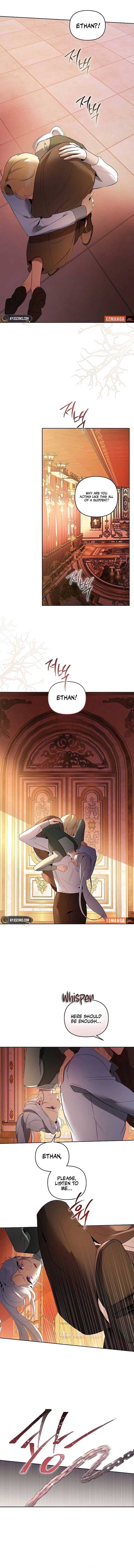 ch 31 2