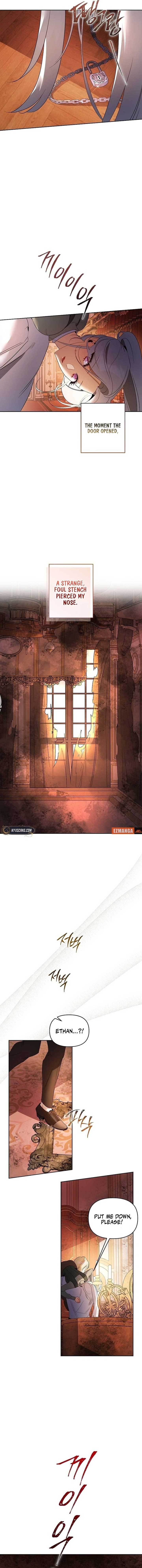 ch 31 3