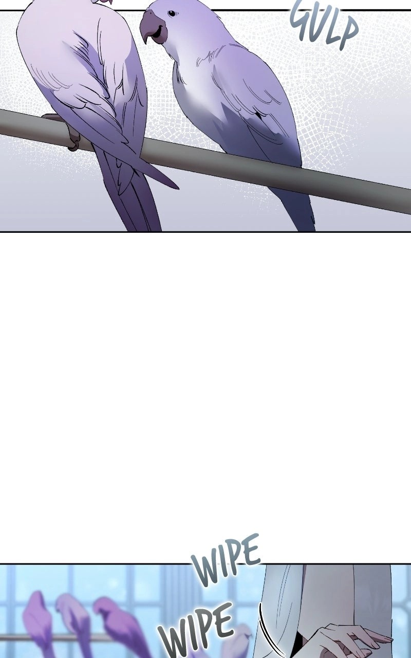 The Villainous Duke’s Pet Bird Chapter 60 367 21b6b66ccc07 66