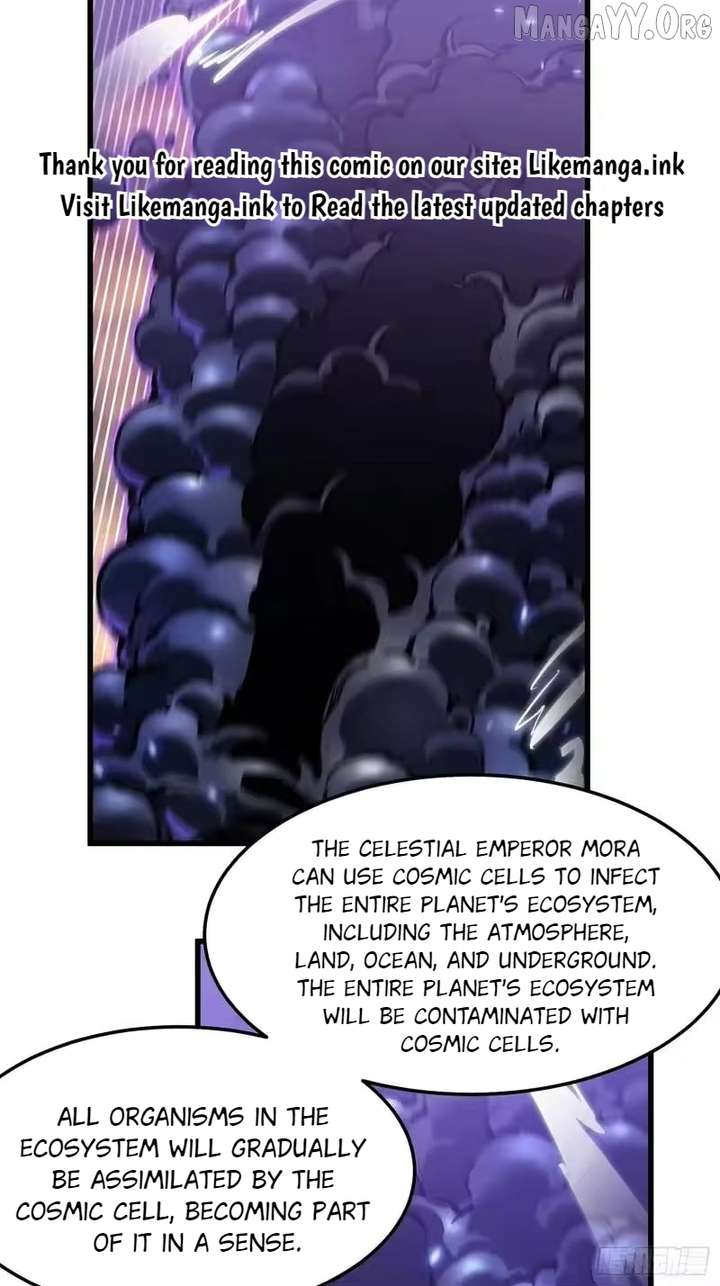 14 (14)