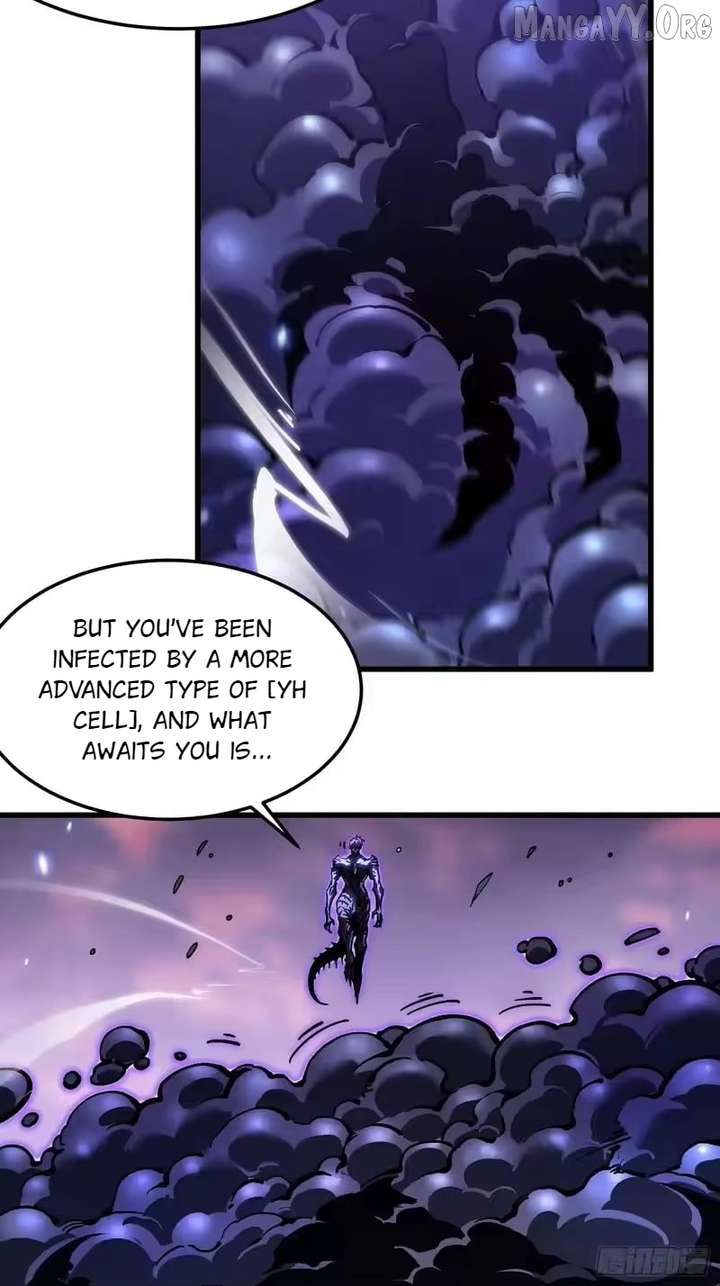 14 (15)