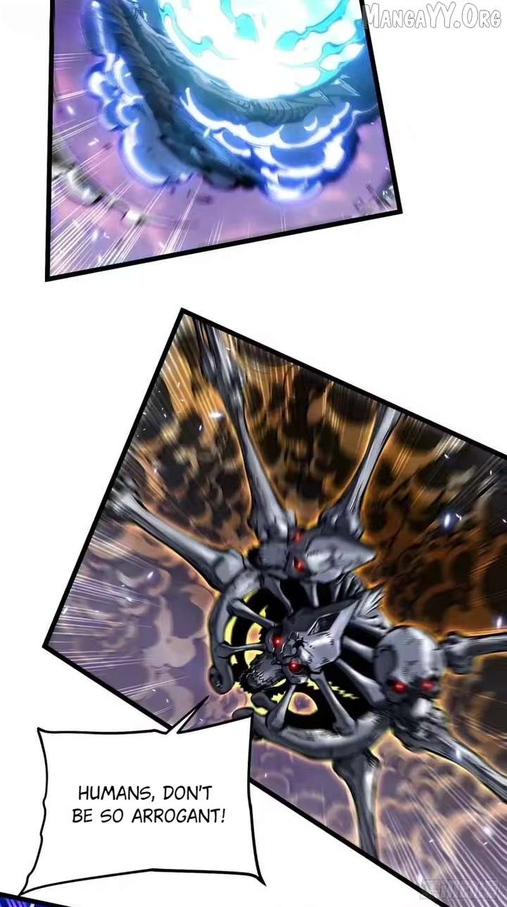 14 (2)