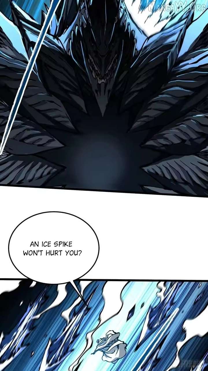 ch 113 36