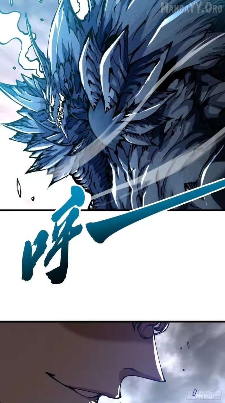 ch 113 39