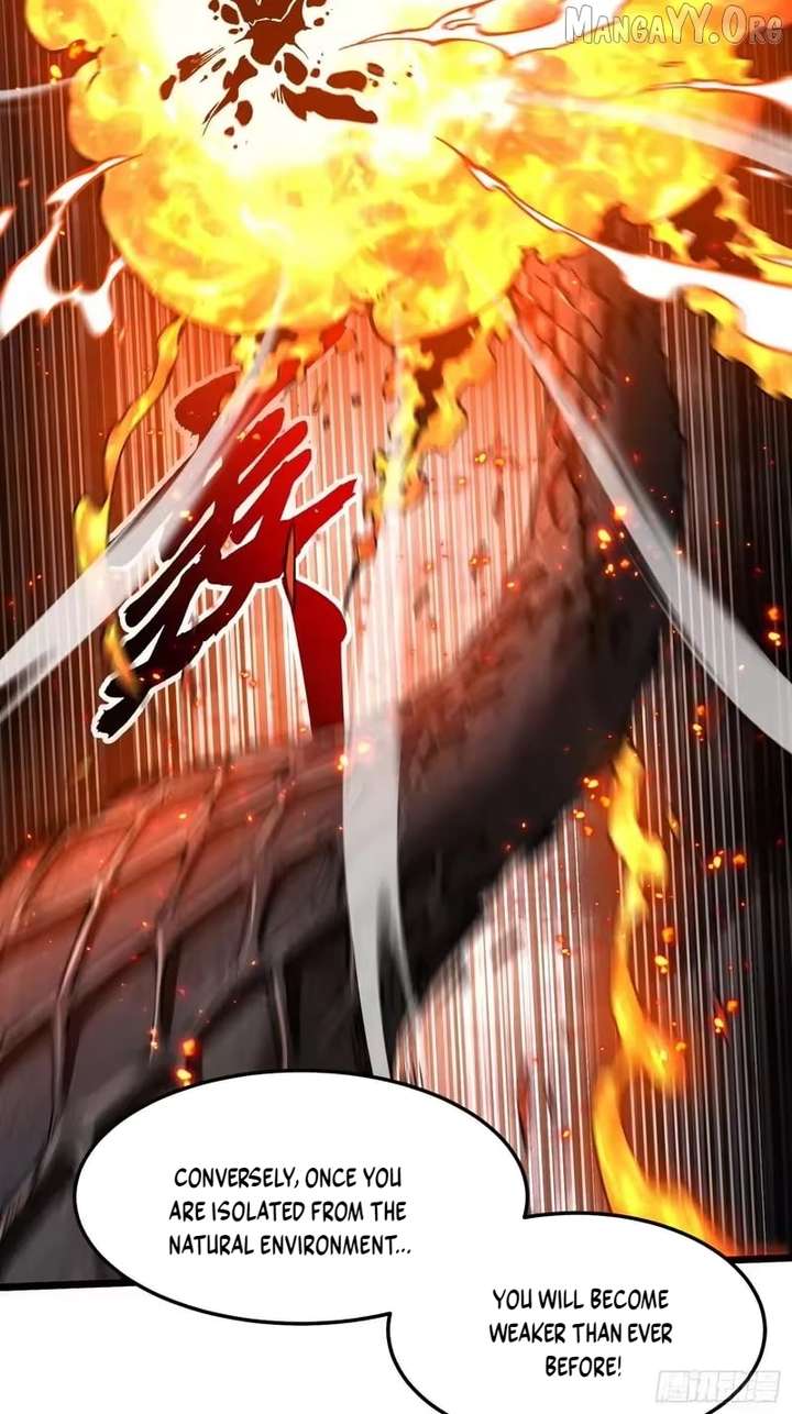 ch 119 5
