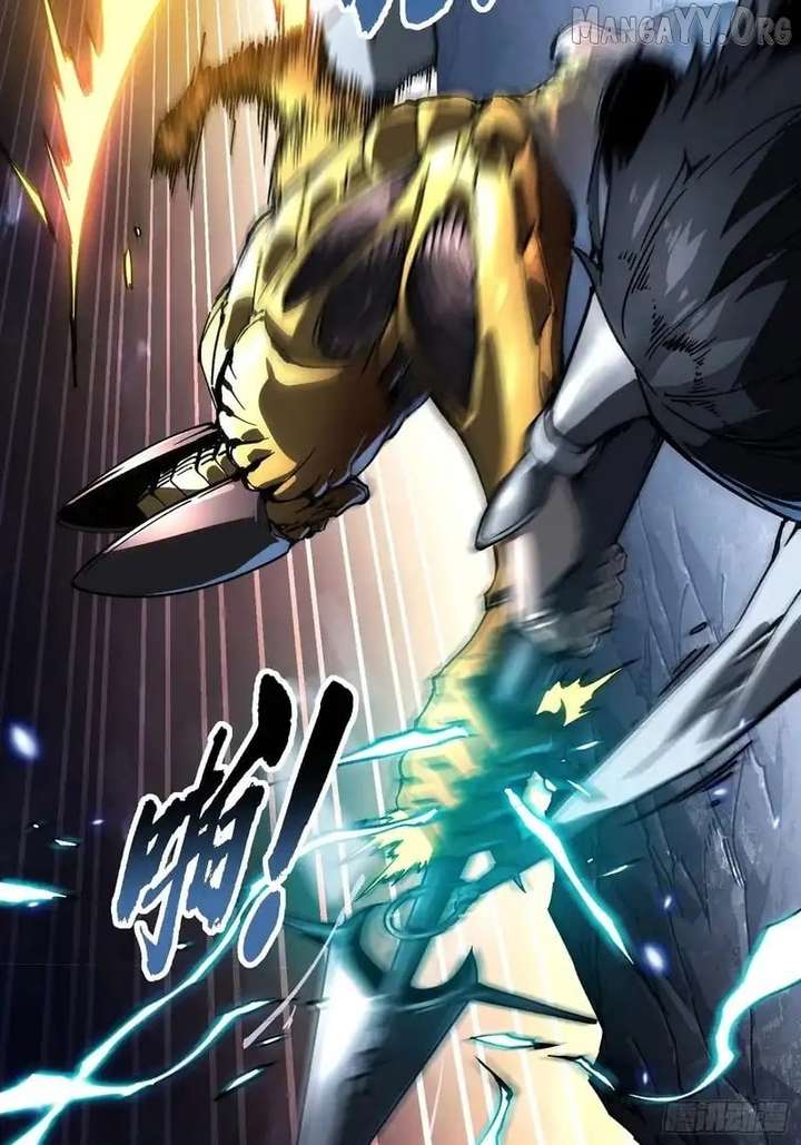 41