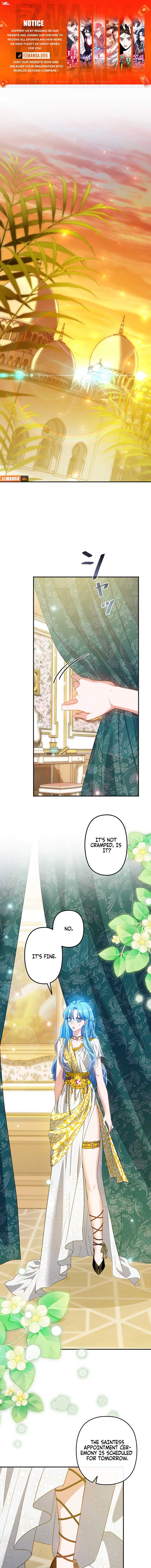 ch 16 1