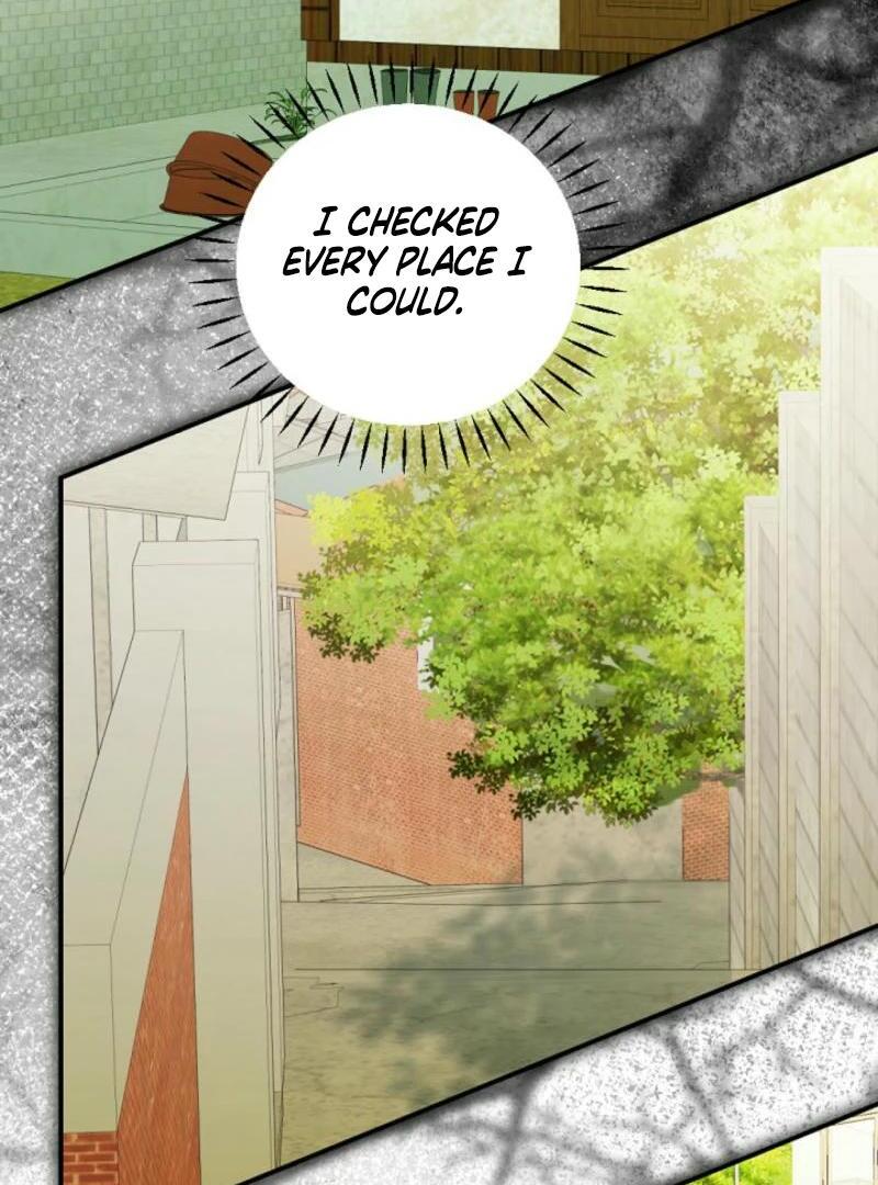 ch 23 74