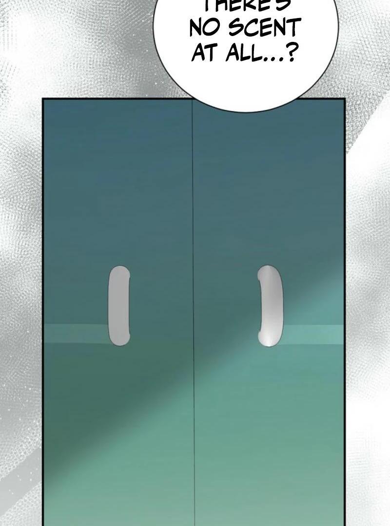 ch 23 82