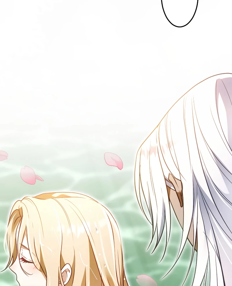 ch 15 48