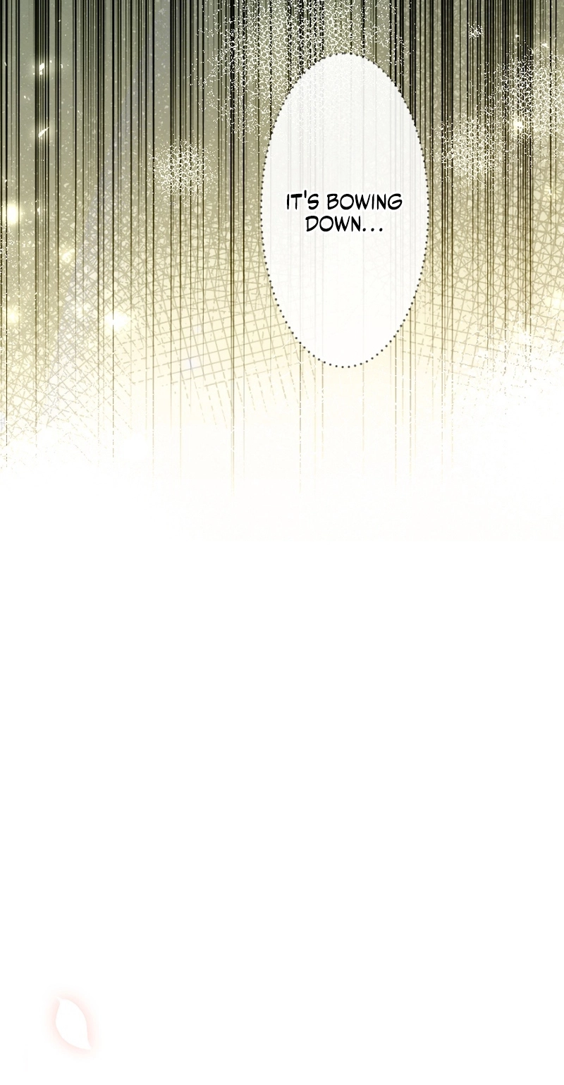 The Northern Warrior’s Beloved Bride Chapter 59 373 e72755cc49e4