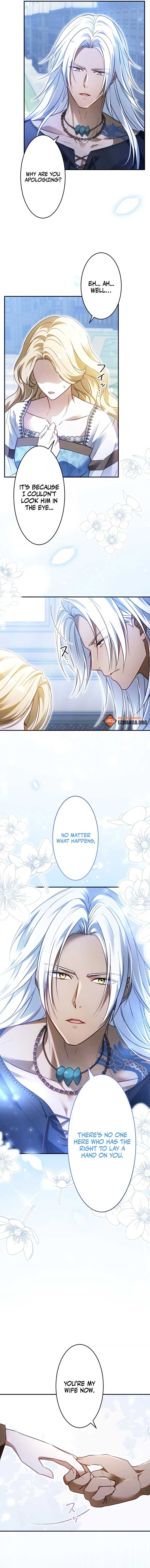 ch 6 11