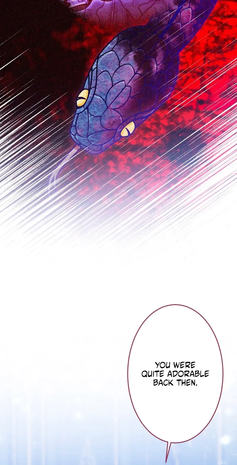 The Northern Warrior’s Beloved Bride Chapter 63 293 98950497ff87
