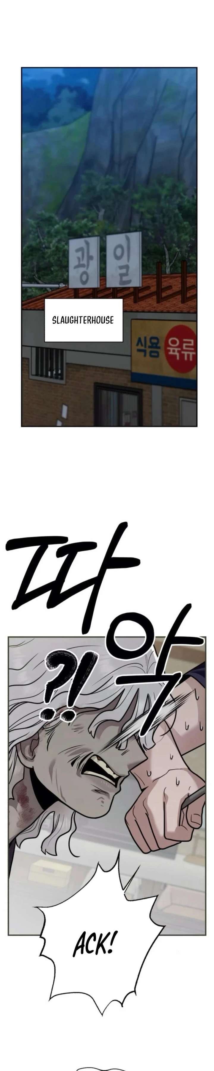ch 46 29