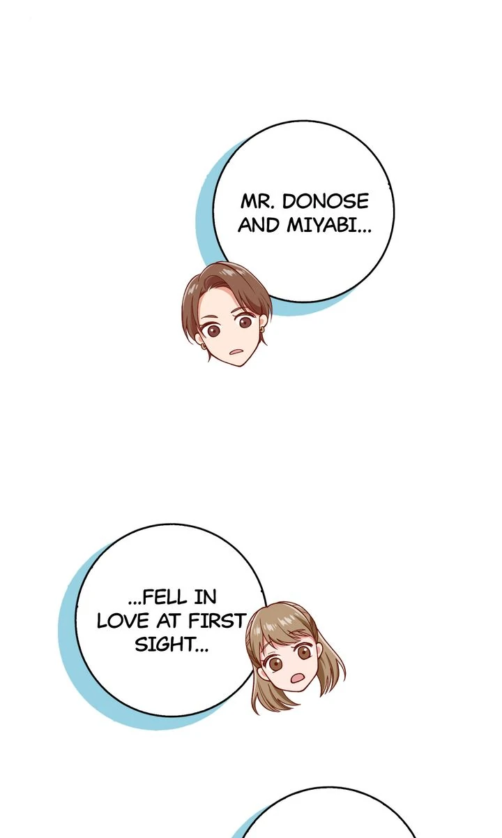 ch 5 6