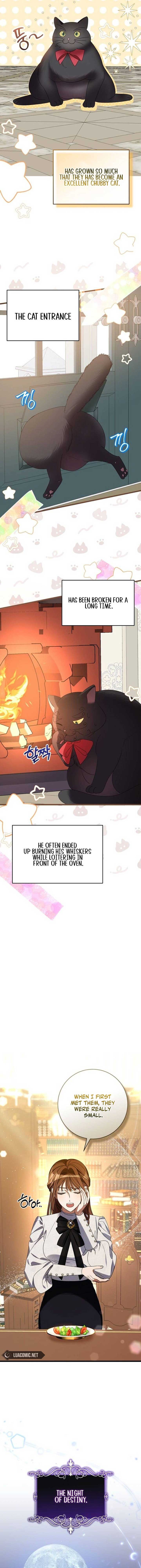 ch 1 11
