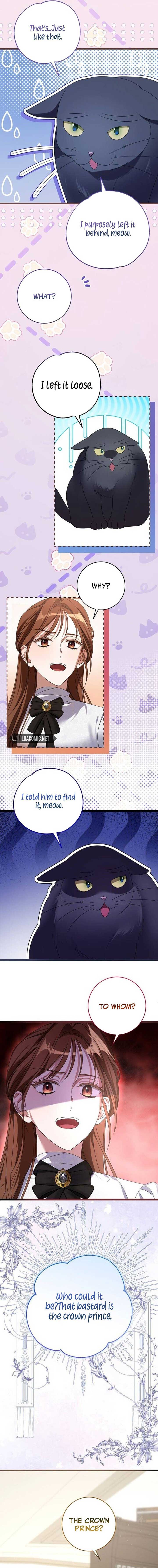 ch 1 26