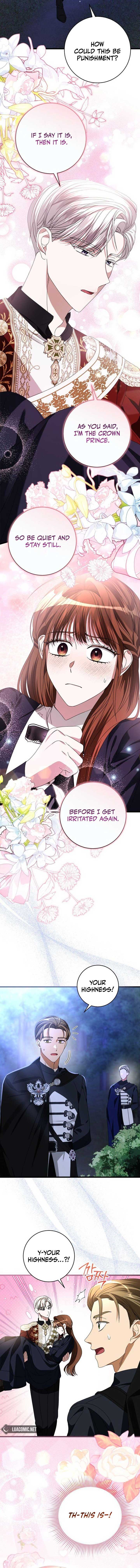 ch 11 15