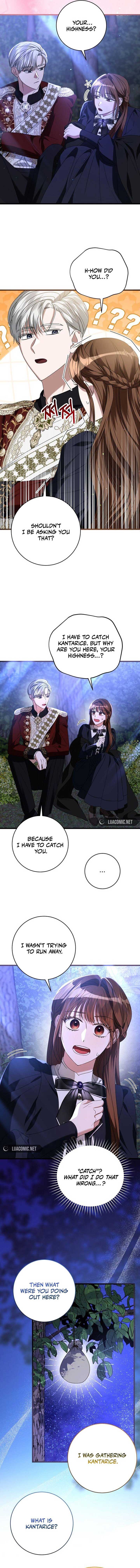 ch 11 8