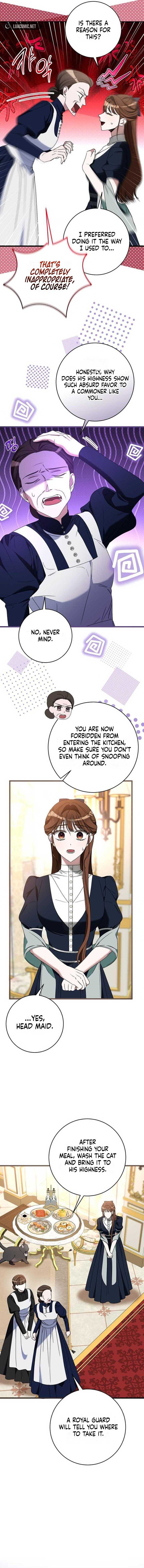 ch 12 11