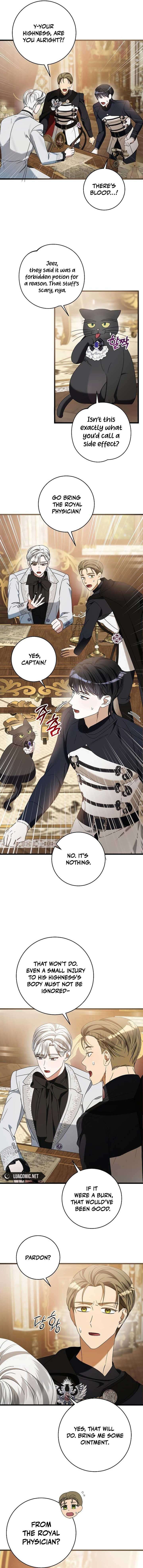 ch 13 11