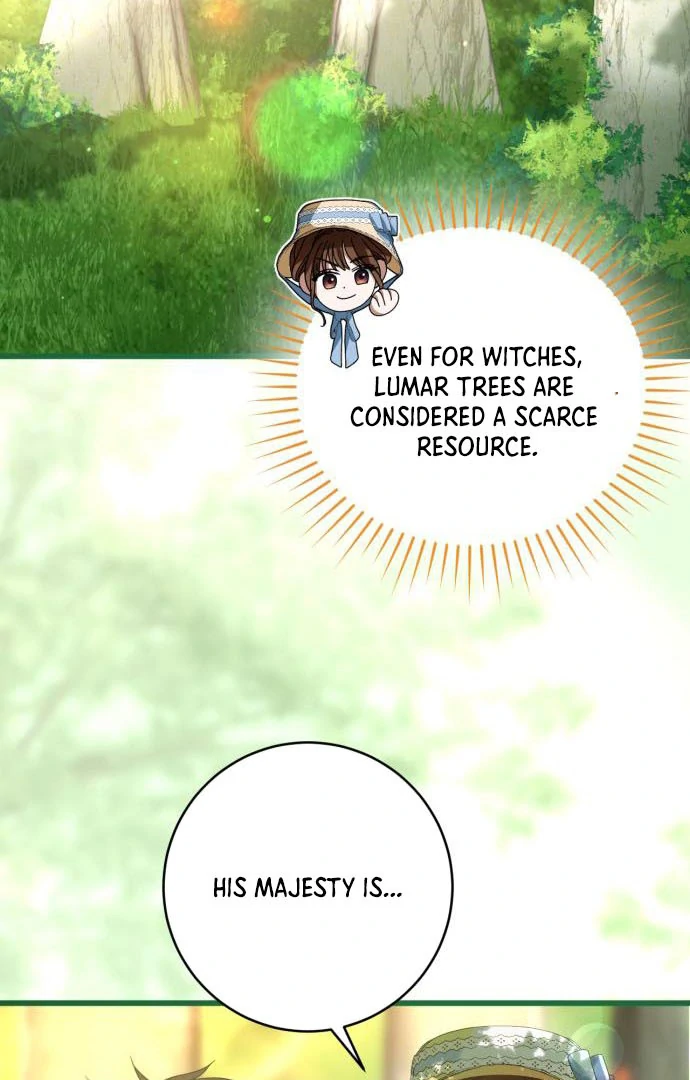 ch 15 5