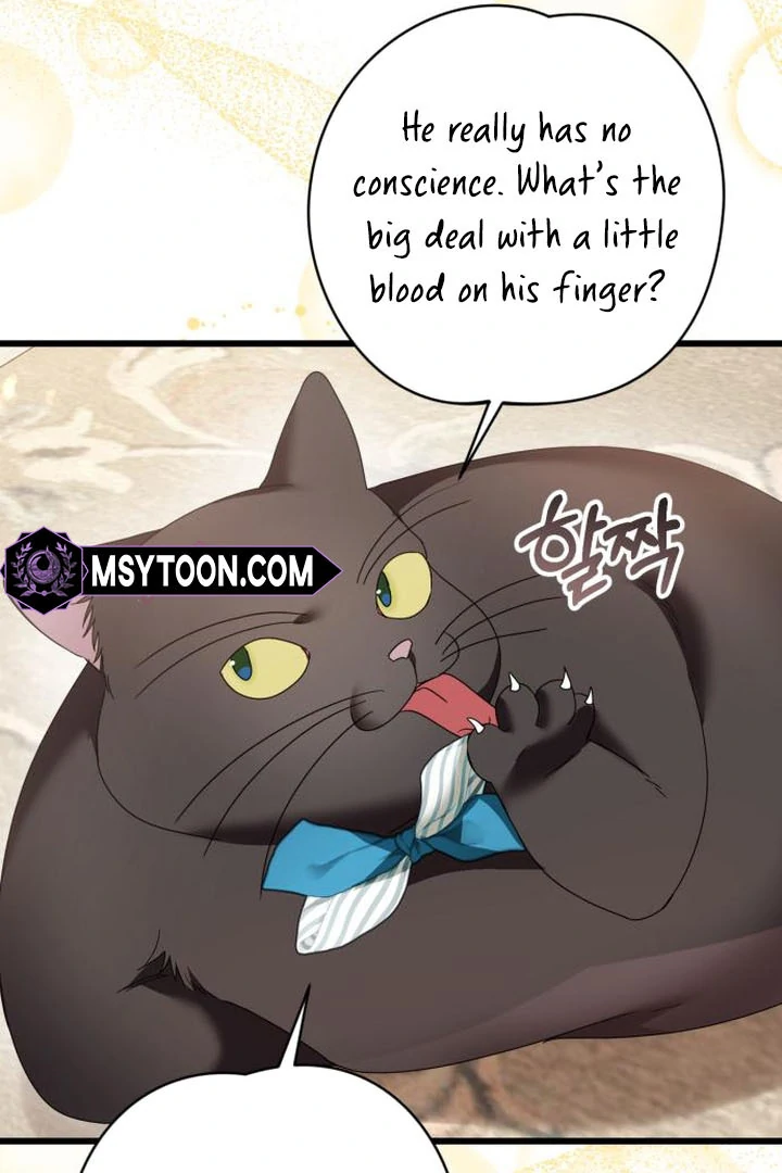 ch 16 28