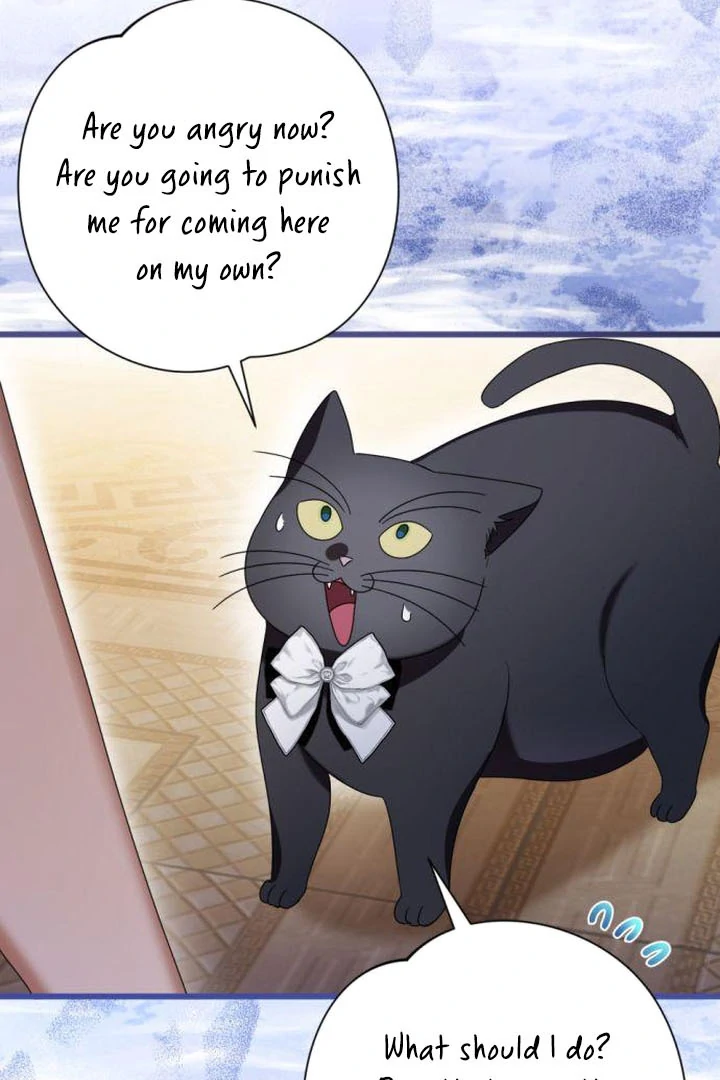 ch 17 10