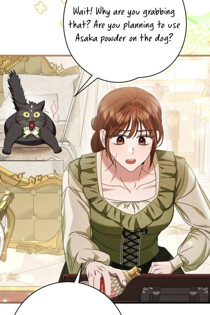ch 17 53