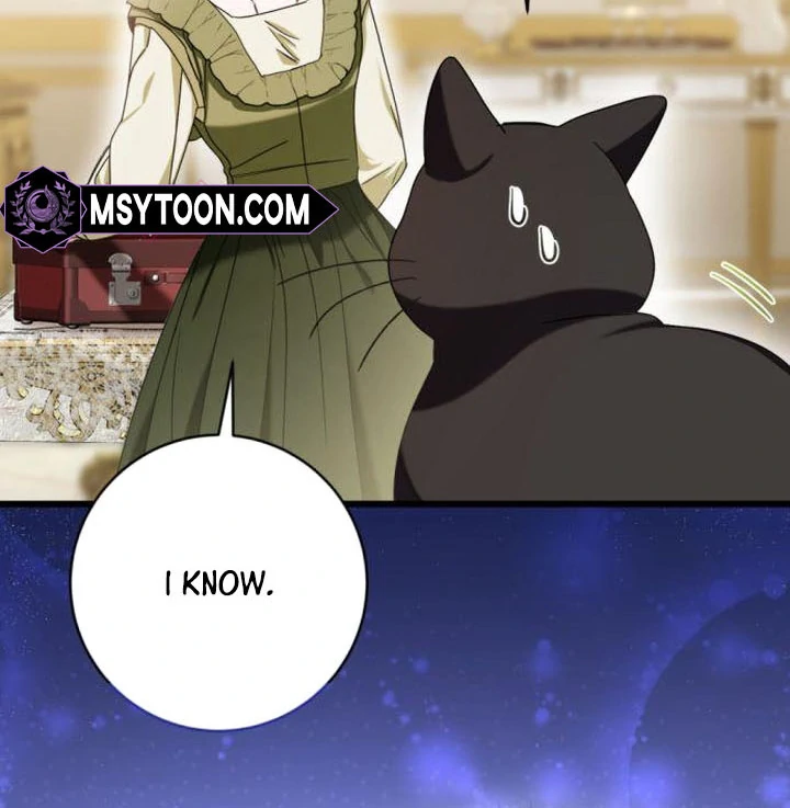 ch 17 55