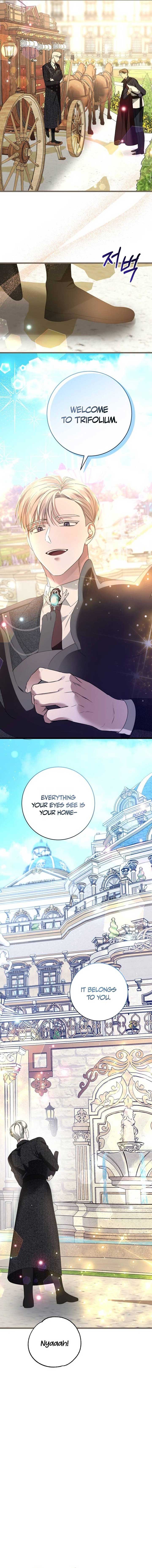 ch 2 19